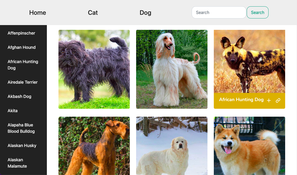 portfolio, site de ventes de vêtements haute-coutures