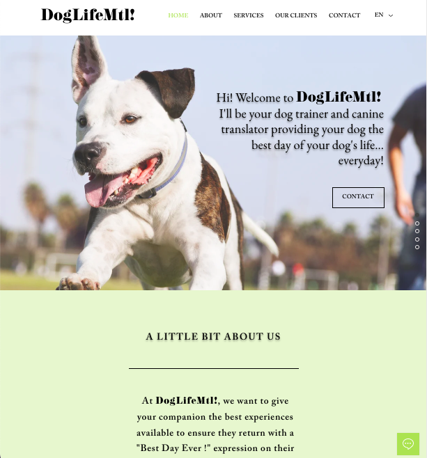 portfolio, Dog life Montreal qui offrent les services de comportementalistes canins